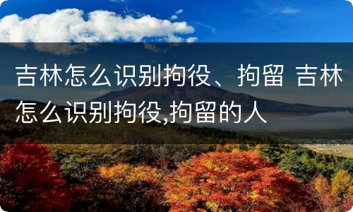 吉林怎么识别拘役、拘留 吉林怎么识别拘役,拘留的人