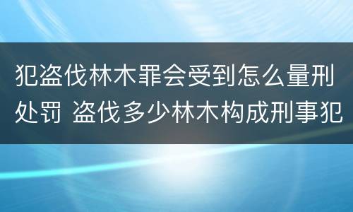 犯盗伐林木罪会受到怎么量刑处罚 盗伐多少林木构成刑事犯罪