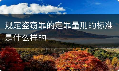 规定盗窃罪的定罪量刑的标准是什么样的