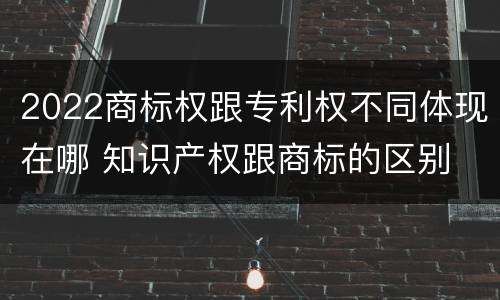 2022商标权跟专利权不同体现在哪 知识产权跟商标的区别