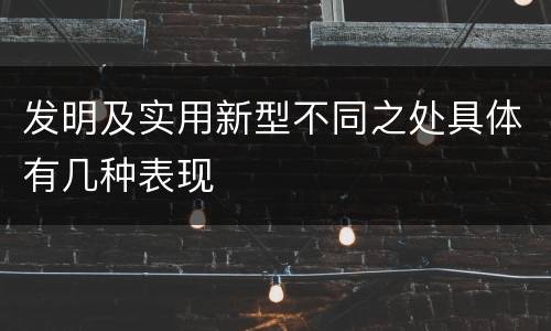 发明及实用新型不同之处具体有几种表现