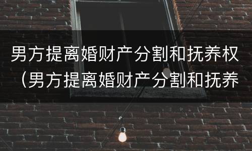 男方提离婚财产分割和抚养权（男方提离婚财产分割和抚养权有关系吗）