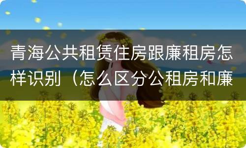 青海公共租赁住房跟廉租房怎样识别（怎么区分公租房和廉租房）