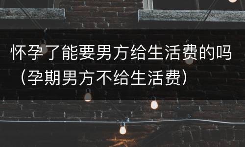怀孕了能要男方给生活费的吗（孕期男方不给生活费）