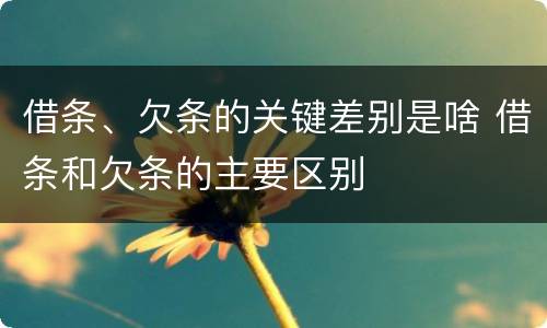 借条、欠条的关键差别是啥 借条和欠条的主要区别