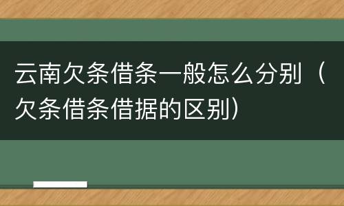 云南欠条借条一般怎么分别（欠条借条借据的区别）