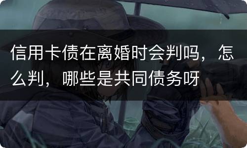 信用卡债在离婚时会判吗，怎么判，哪些是共同债务呀