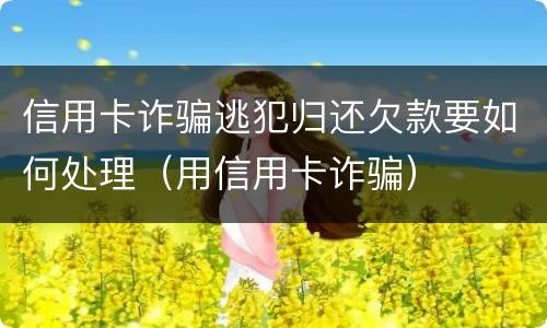 信用卡诈骗逃犯归还欠款要如何处理（用信用卡诈骗）