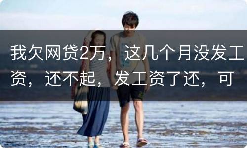 我欠网贷2万，这几个月没发工资，还不起，发工资了还，可以吗