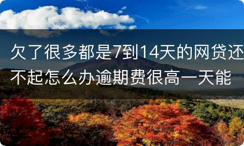 欠了很多都是7到14天的网贷还不起怎么办逾期费很高一天能张几百