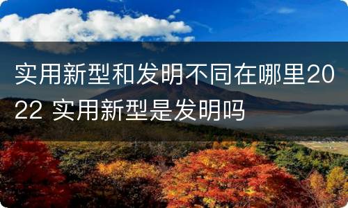 实用新型和发明不同在哪里2022 实用新型是发明吗
