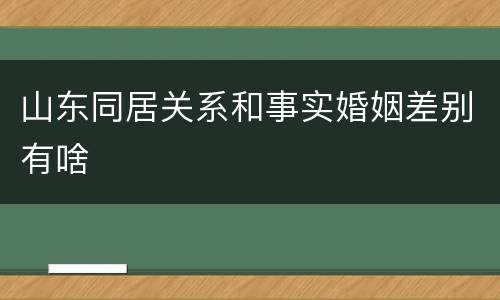 山东同居关系和事实婚姻差别有啥
