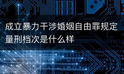 成立暴力干涉婚姻自由罪规定量刑档次是什么样