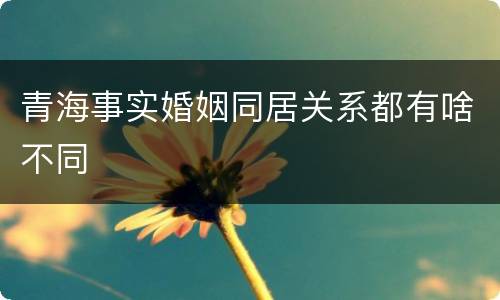 青海事实婚姻同居关系都有啥不同