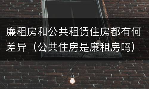 廉租房和公共租赁住房都有何差异（公共住房是廉租房吗）