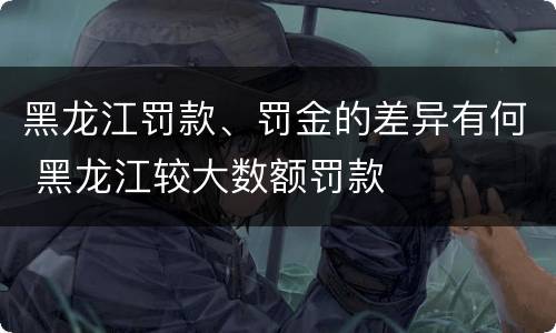 黑龙江罚款、罚金的差异有何 黑龙江较大数额罚款