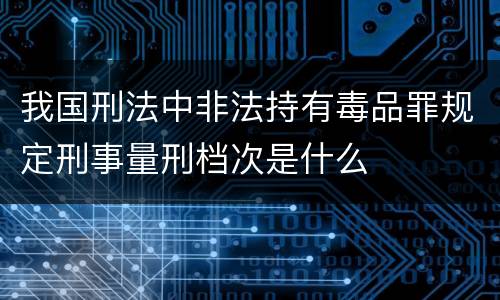 我国刑法中非法持有毒品罪规定刑事量刑档次是什么
