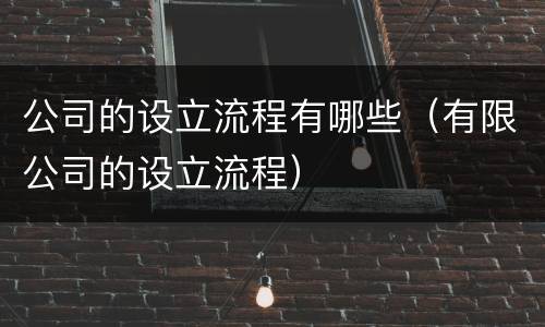 公司的设立流程有哪些（有限公司的设立流程）