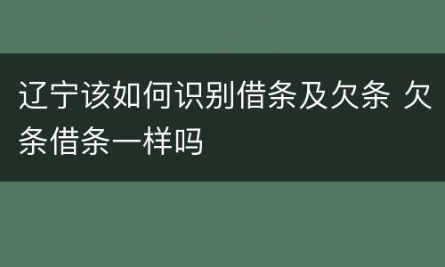 辽宁该如何识别借条及欠条 欠条借条一样吗