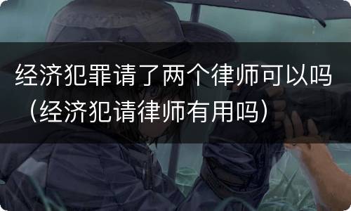 经济犯罪请了两个律师可以吗（经济犯请律师有用吗）