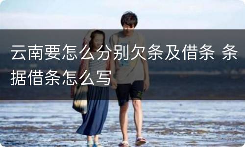 云南要怎么分别欠条及借条 条据借条怎么写