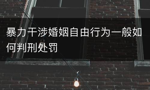 暴力干涉婚姻自由行为一般如何判刑处罚