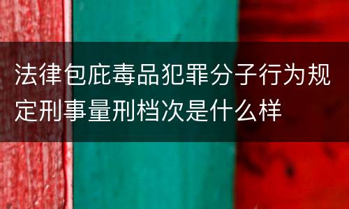 法律包庇毒品犯罪分子行为规定刑事量刑档次是什么样