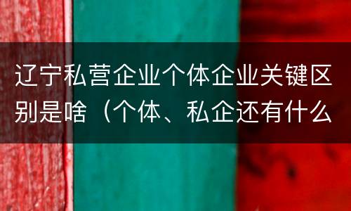 辽宁私营企业个体企业关键区别是啥（个体、私企还有什么性质）