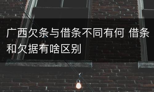 广西欠条与借条不同有何 借条和欠据有啥区别