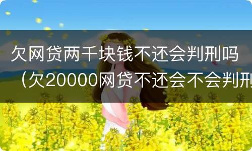 欠网贷两千块钱不还会判刑吗（欠20000网贷不还会不会判刑）