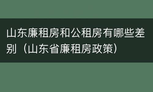 山东廉租房和公租房有哪些差别（山东省廉租房政策）