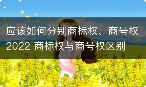 应该如何分别商标权、商号权2022 商标权与商号权区别