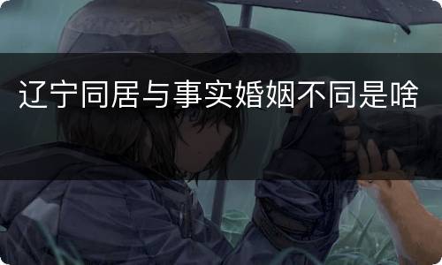 辽宁同居与事实婚姻不同是啥
