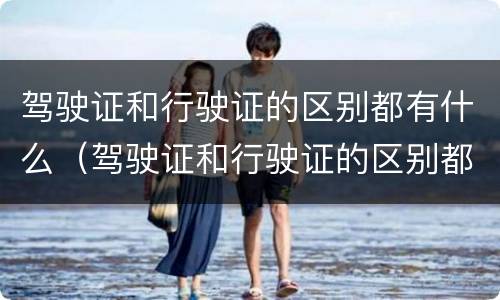 驾驶证和行驶证的区别都有什么（驾驶证和行驶证的区别都有什么用）