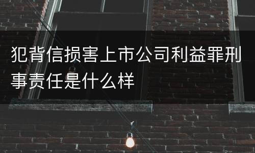 犯背信损害上市公司利益罪刑事责任是什么样