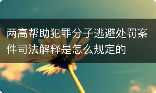 两高帮助犯罪分子逃避处罚案件司法解释是怎么规定的