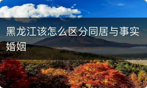 黑龙江该怎么区分同居与事实婚姻