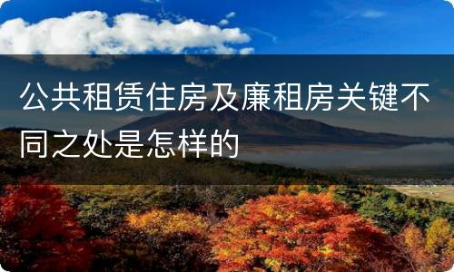 公共租赁住房及廉租房关键不同之处是怎样的