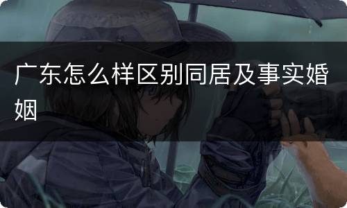 广东怎么样区别同居及事实婚姻