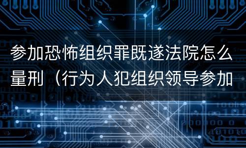 参加恐怖组织罪既遂法院怎么量刑（行为人犯组织领导参加恐怖组织罪并实施）