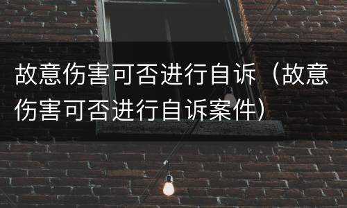 故意伤害可否进行自诉（故意伤害可否进行自诉案件）