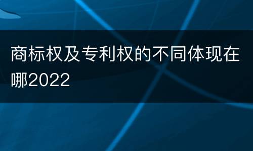 商标权及专利权的不同体现在哪2022