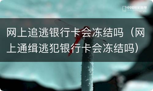 网上追逃银行卡会冻结吗（网上通缉逃犯银行卡会冻结吗）