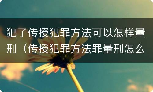 犯了传授犯罪方法可以怎样量刑（传授犯罪方法罪量刑怎么量）