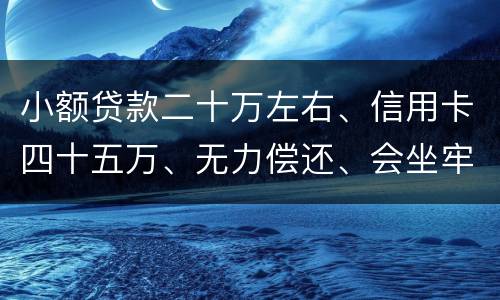 小额贷款二十万左右、信用卡四十五万、无力偿还、会坐牢