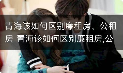 青海该如何区别廉租房、公租房 青海该如何区别廉租房,公租房和住宅