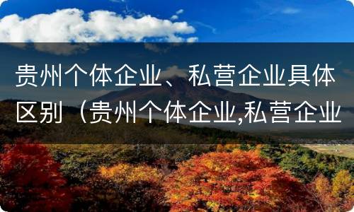 贵州个体企业、私营企业具体区别（贵州个体企业,私营企业具体区别在哪）