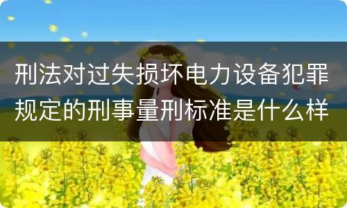 刑法对过失损坏电力设备犯罪规定的刑事量刑标准是什么样的