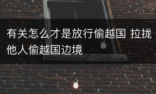 有关怎么才是放行偷越国 拉拢他人偷越国边境