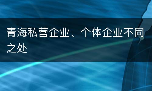 青海私营企业、个体企业不同之处